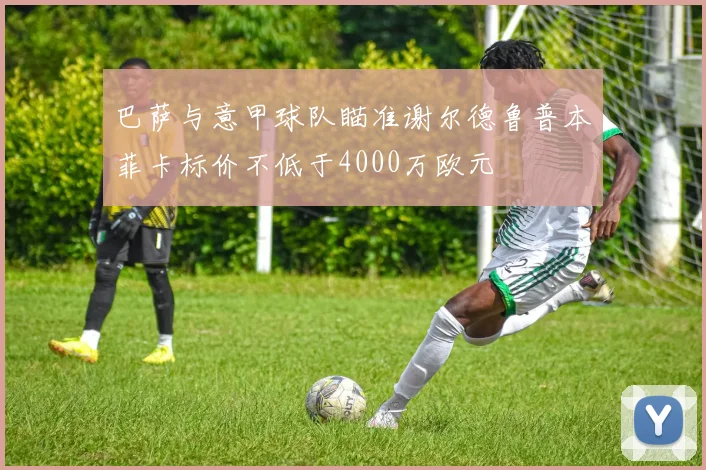 巴萨与意甲球队瞄准谢尔德鲁普本菲卡标价不低于4000万欧元