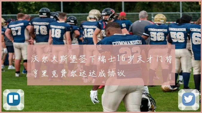 沃尔夫斯堡签下瑞士16岁天才门将亨里克费尔达达成协议