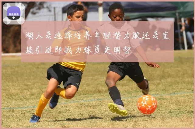 湖人是选择培养年轻潜力股还是直接引进即战力球员更明智