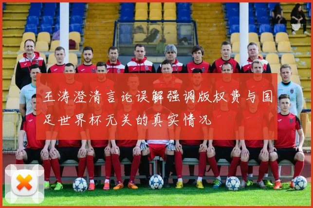王涛澄清言论误解强调版权费与国足世界杯无关的真实情况